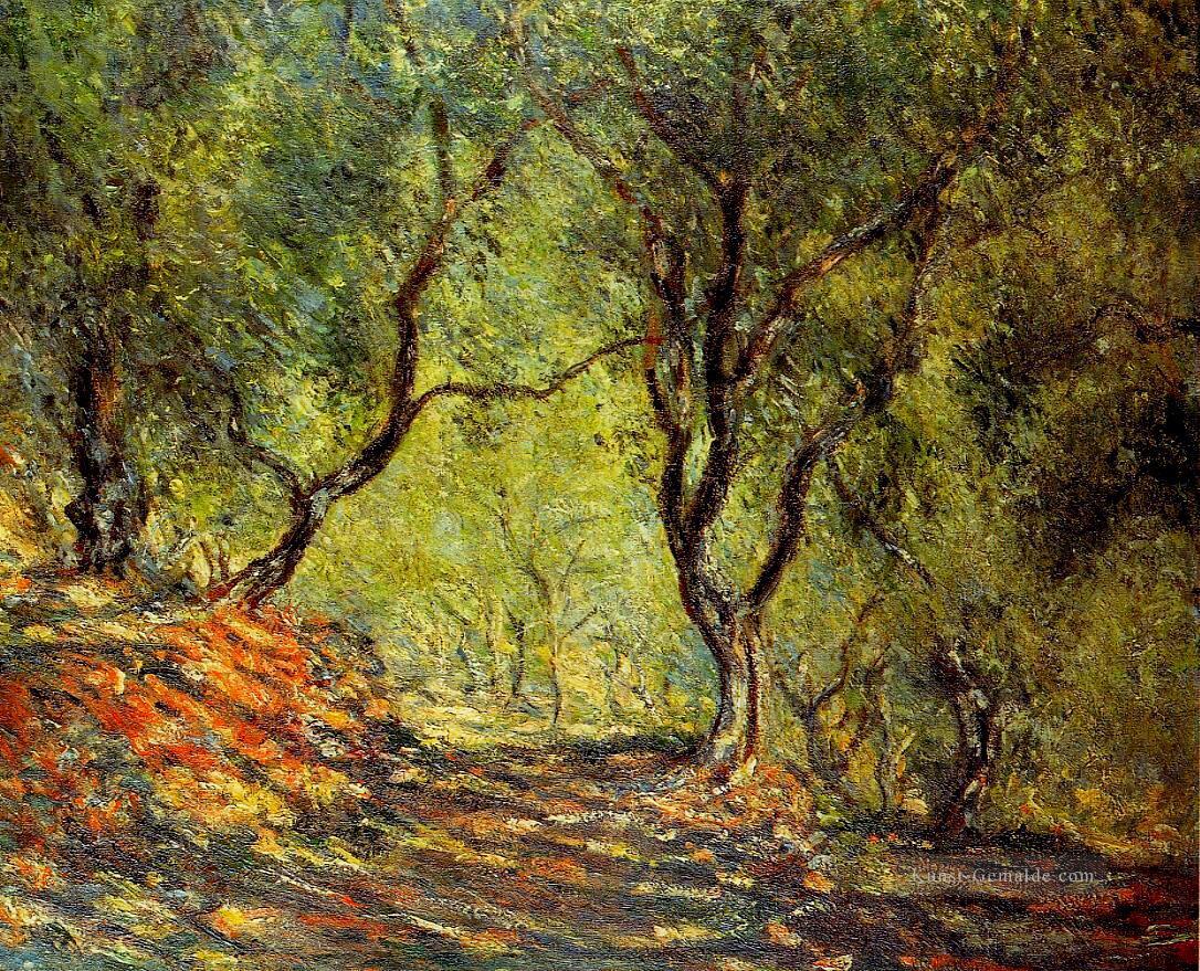 der Olivenbaum Holz im Moreno Garten Claude Monet Wald Ölgemälde